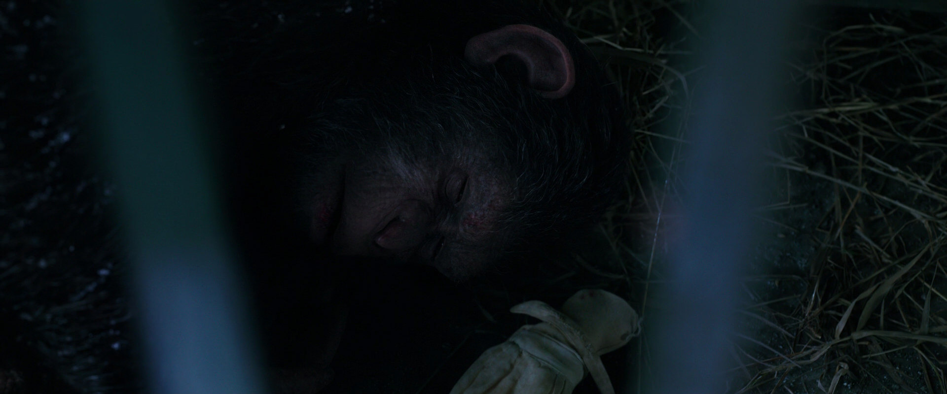 War for the Planet of the Apes (2017) movie still 10765