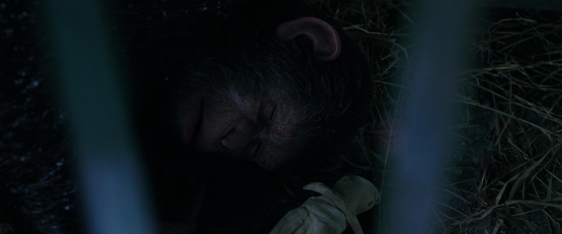 War for the Planet of the Apes (2017) HD screenshot 10766