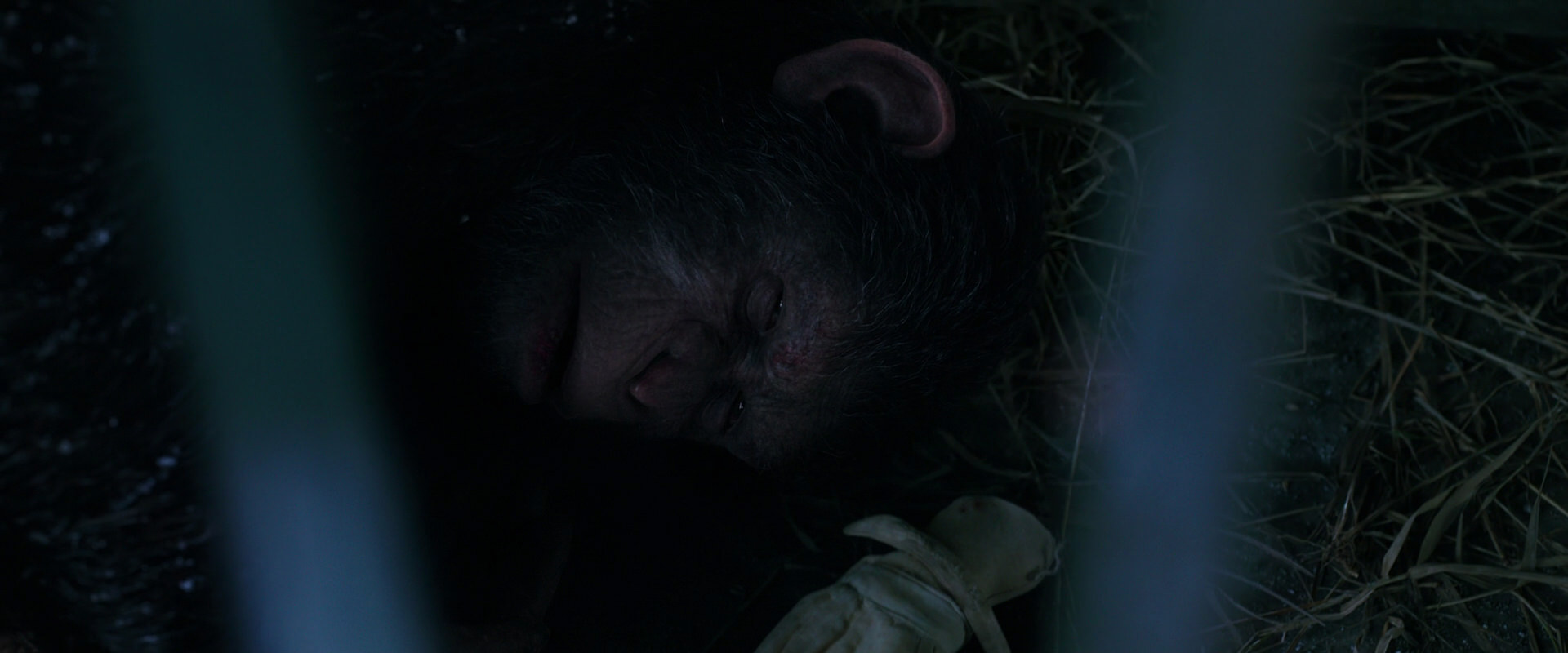 War for the Planet of the Apes (2017) screencap 10767