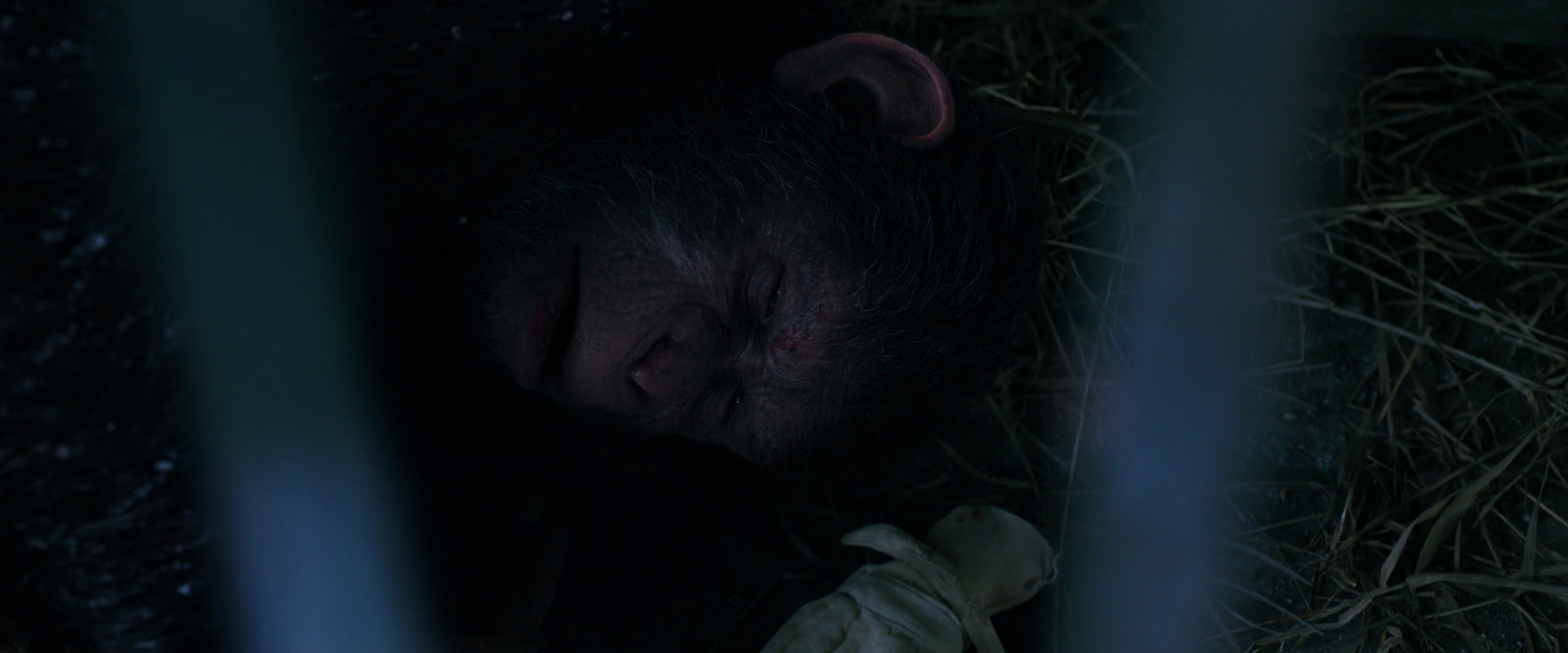 War for the Planet of the Apes (2017) movie still 10768