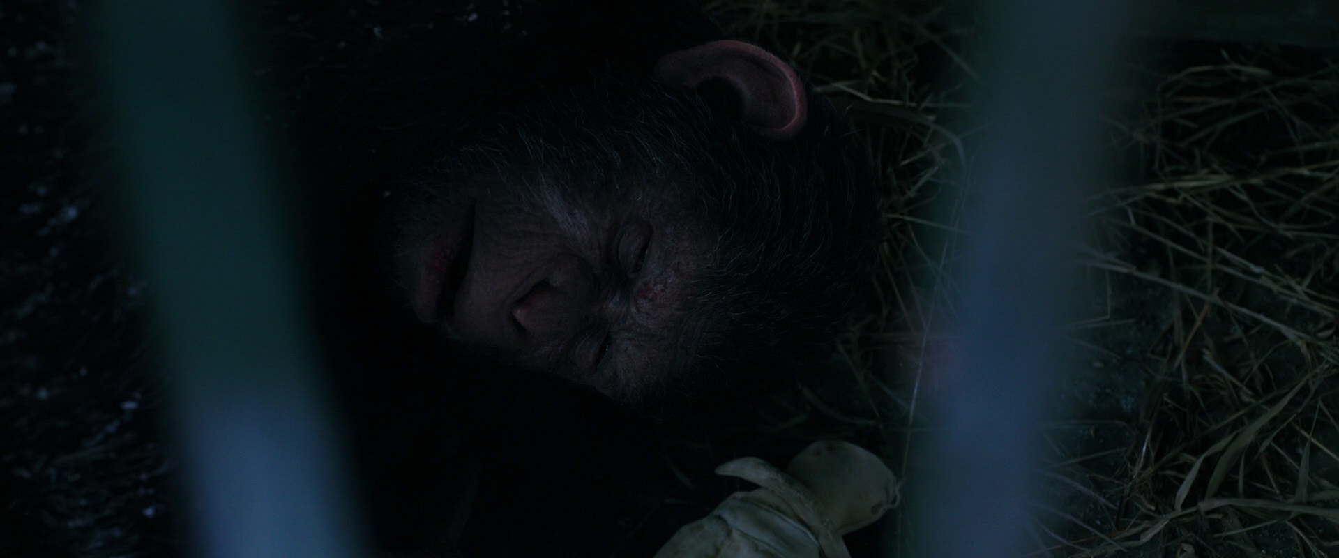 War for the Planet of the Apes (2017) HD screenshot 10769
