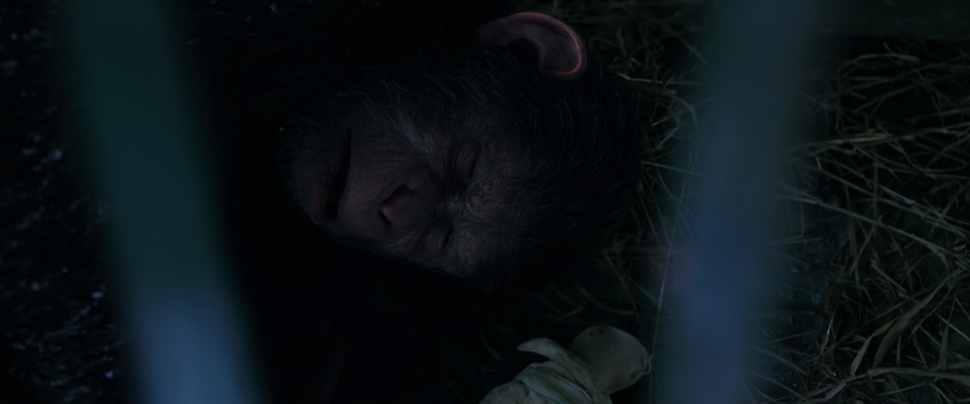 War for the Planet of the Apes (2017) screencap 10770
