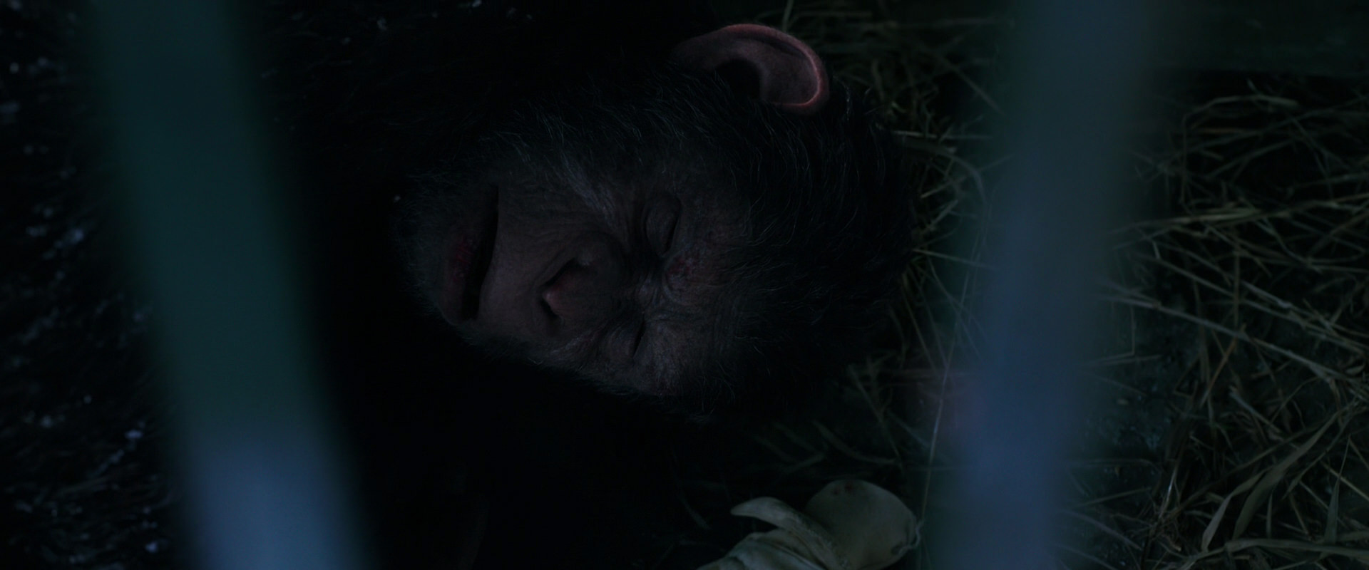 War for the Planet of the Apes (2017) movie still 10771