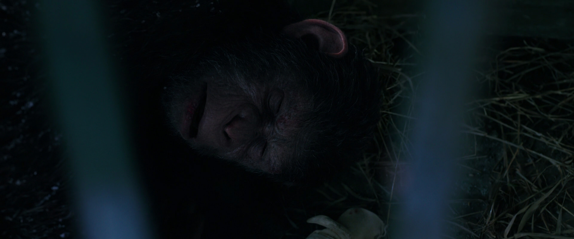 War for the Planet of the Apes (2017) HD screenshot 10772