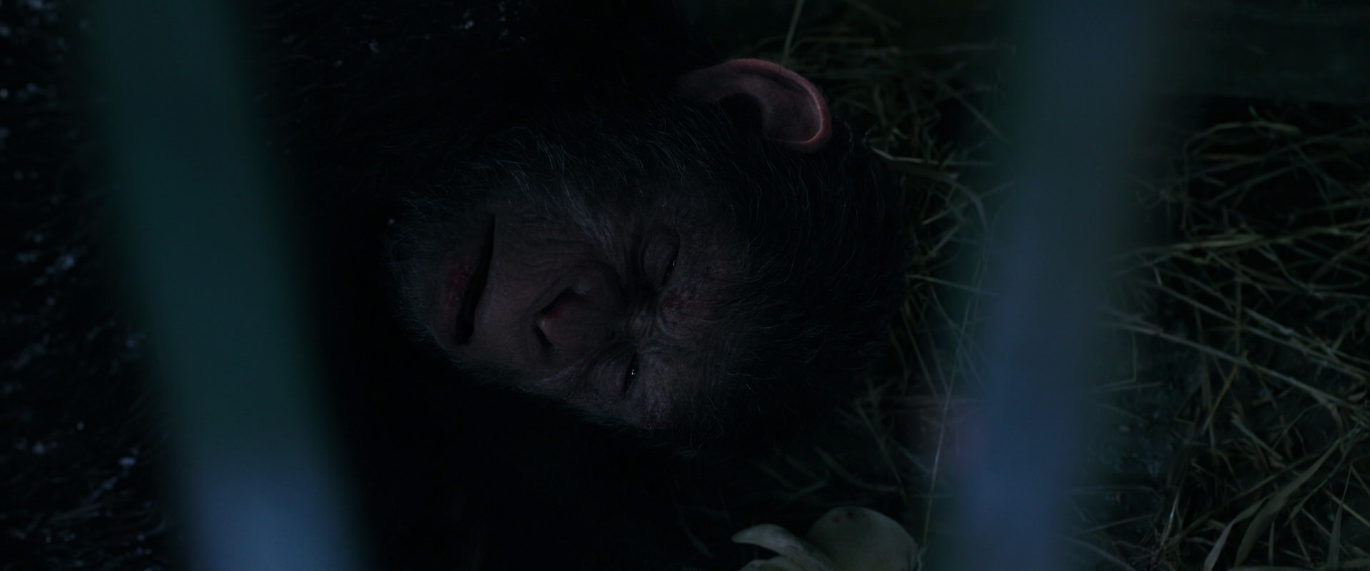 War for the Planet of the Apes (2017) screencap 10773