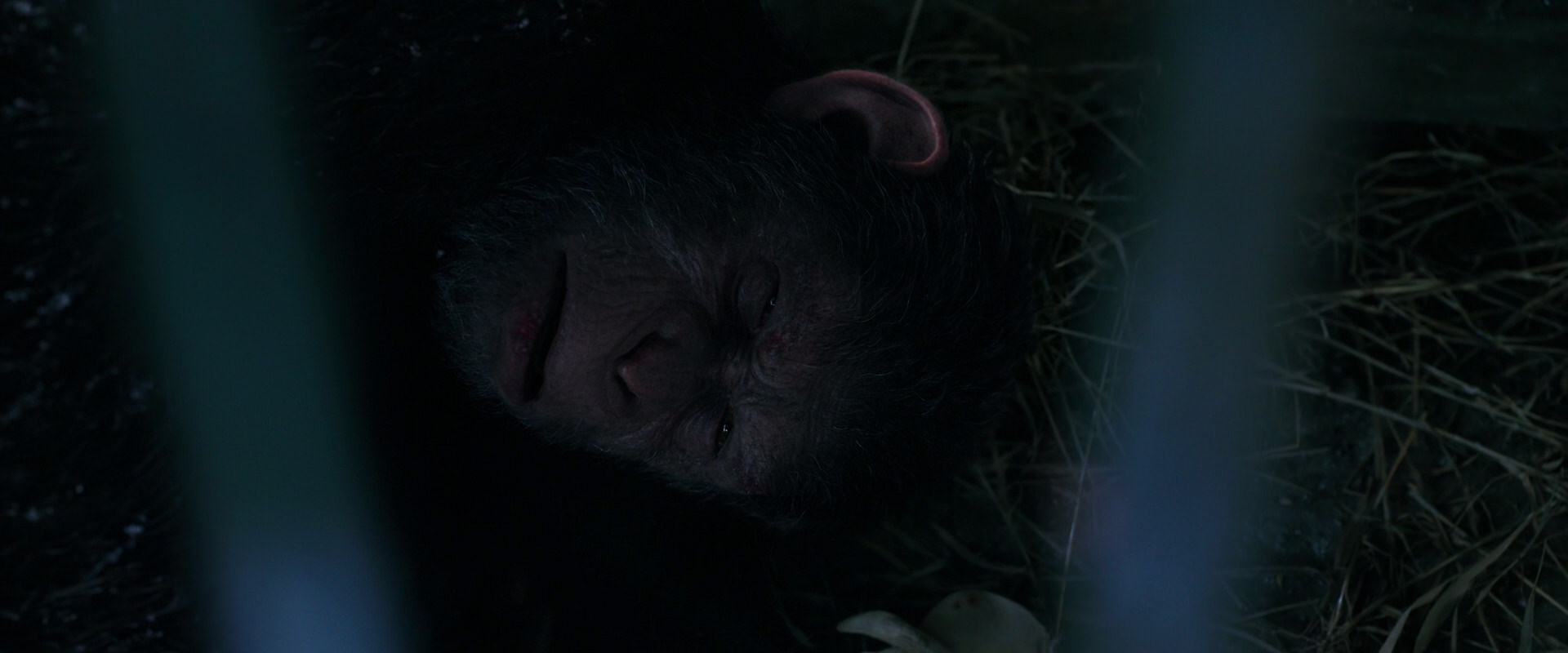 War for the Planet of the Apes (2017) movie still 10774
