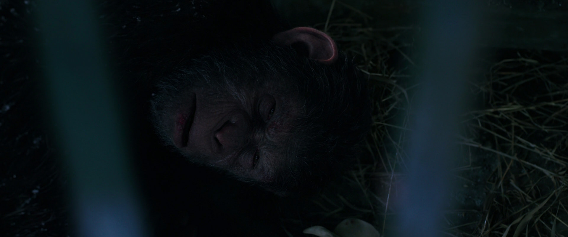 War for the Planet of the Apes (2017) HD screenshot 10775