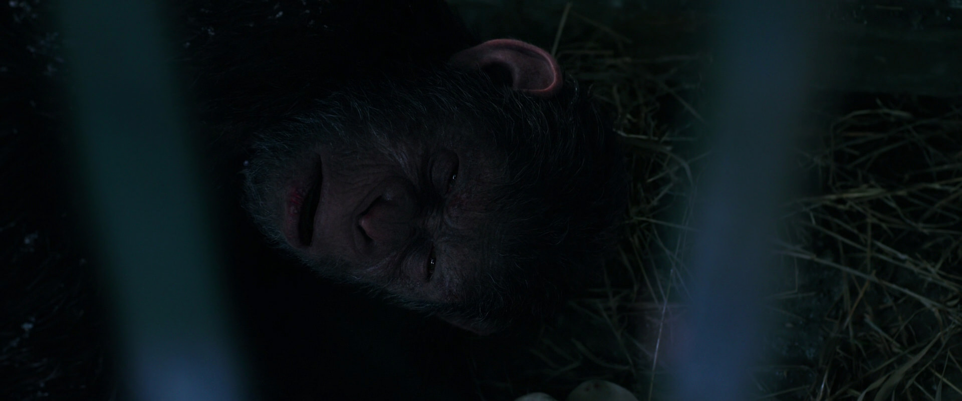 War for the Planet of the Apes (2017) screencap 10776