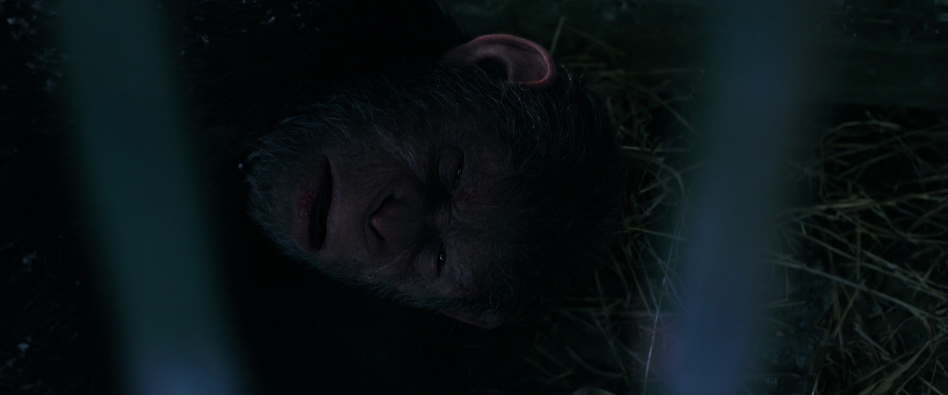 War for the Planet of the Apes (2017) movie still 10777