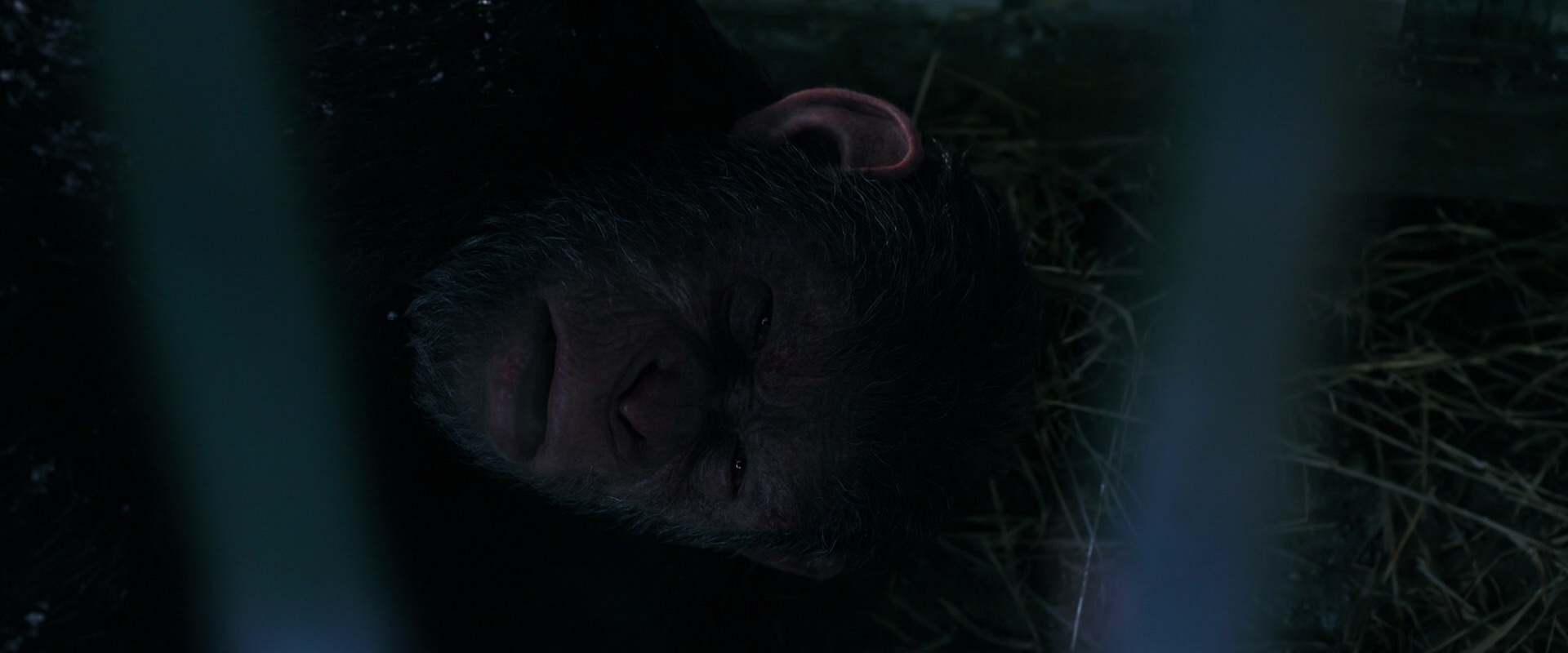 War for the Planet of the Apes (2017) HD screenshot 10778