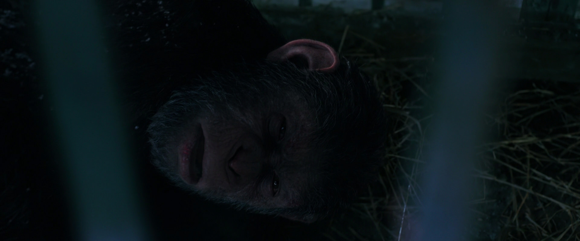 War for the Planet of the Apes (2017) screencap 10779