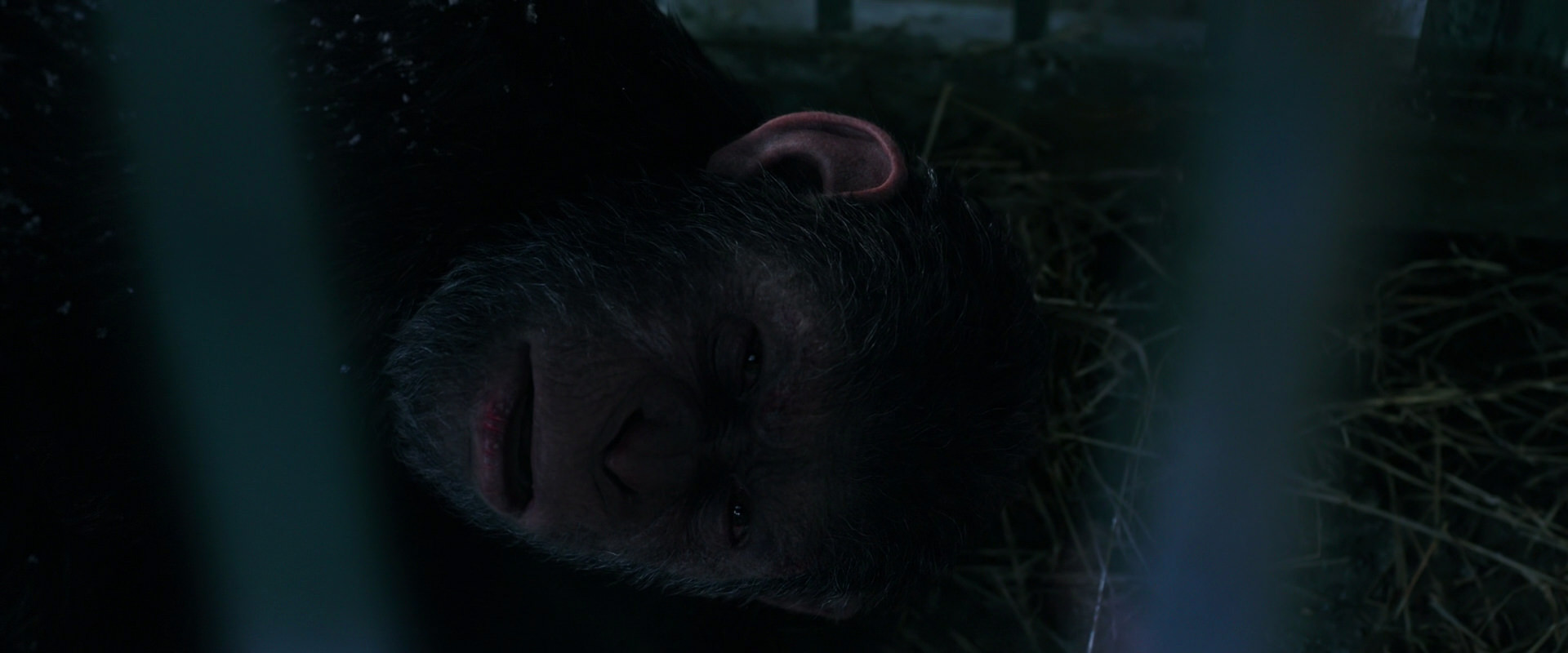 War for the Planet of the Apes (2017) movie still 10780
