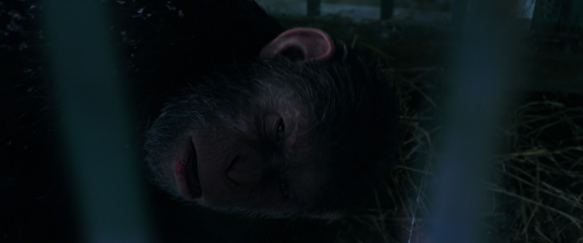 War for the Planet of the Apes (2017) HD screenshot 10781