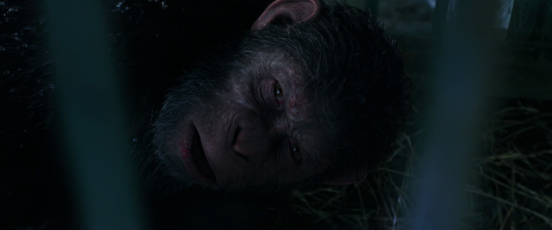 War for the Planet of the Apes (2017) screencap 10782
