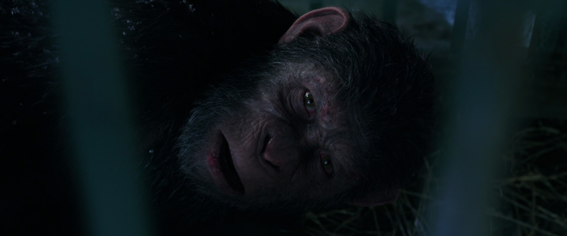War for the Planet of the Apes (2017) movie still 10783
