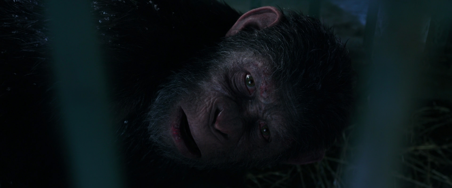 War for the Planet of the Apes (2017) HD screenshot 10784