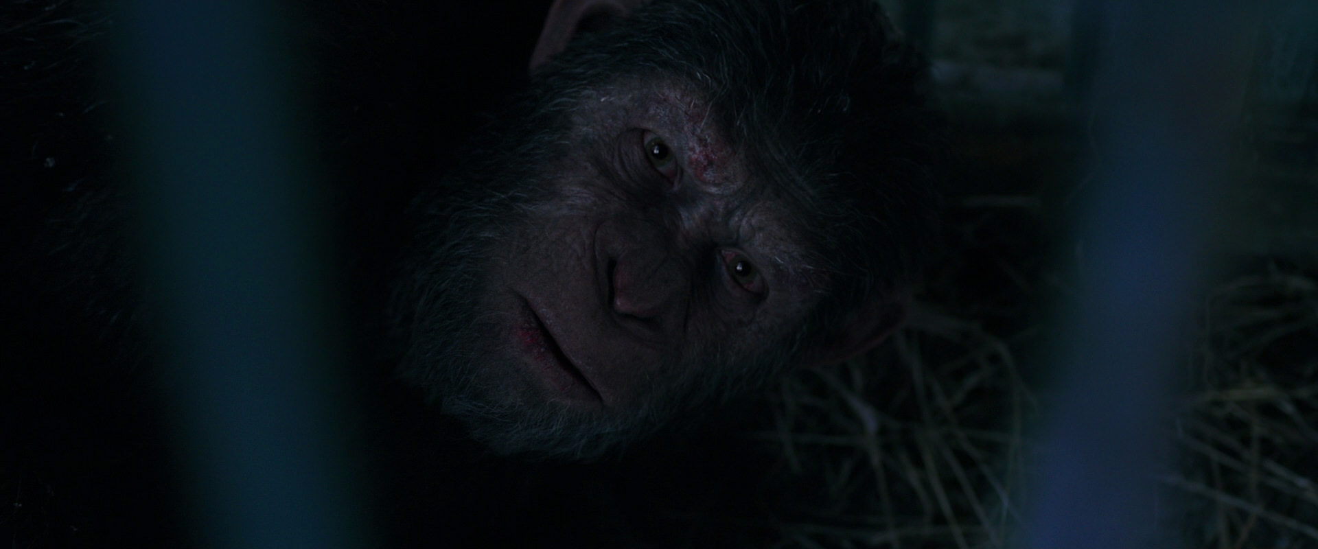 War for the Planet of the Apes (2017) screencap 10791