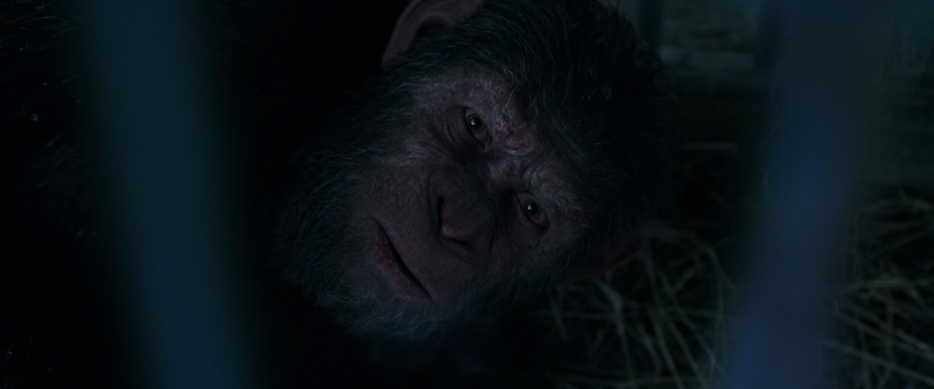 War for the Planet of the Apes (2017) movie still 10792