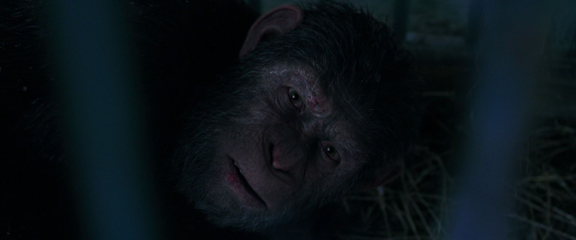 War for the Planet of the Apes (2017) HD screenshot 10793