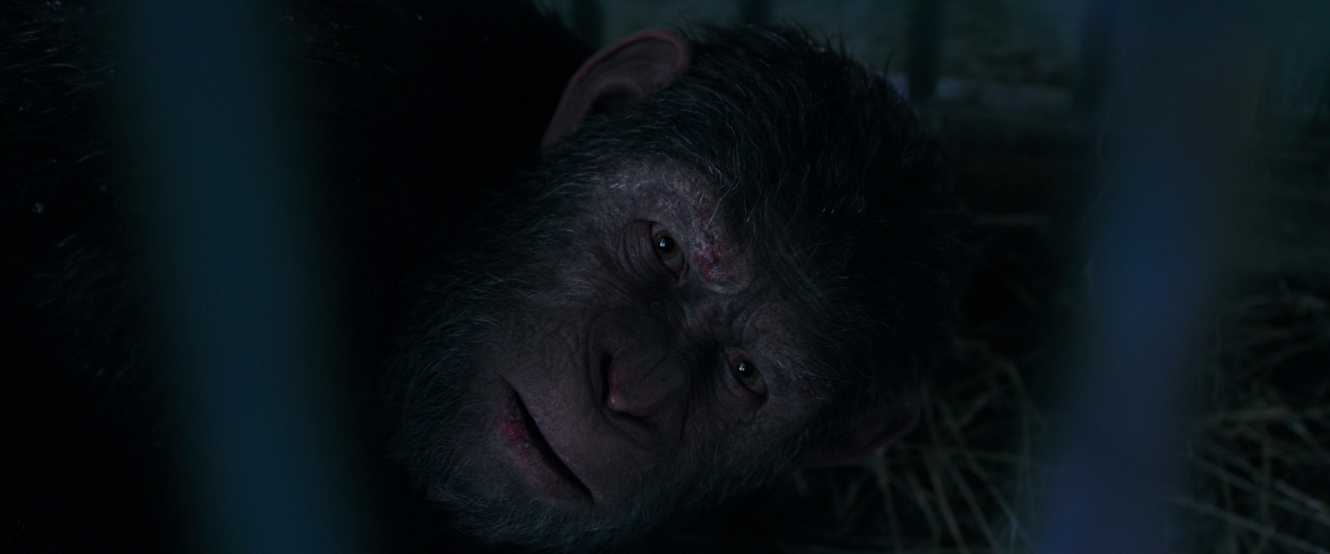 War for the Planet of the Apes (2017) screencap 10794