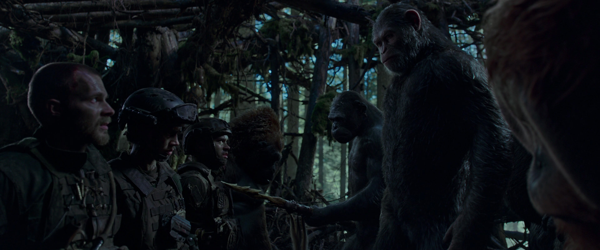 War for the Planet of the Apes (2017) screencap 1080
