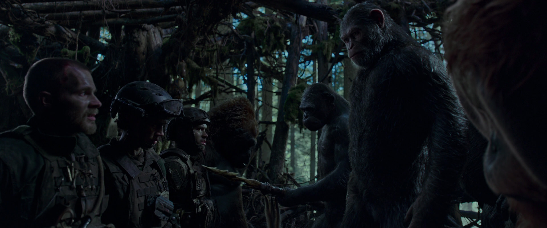 War for the Planet of the Apes (2017) movie still 1081