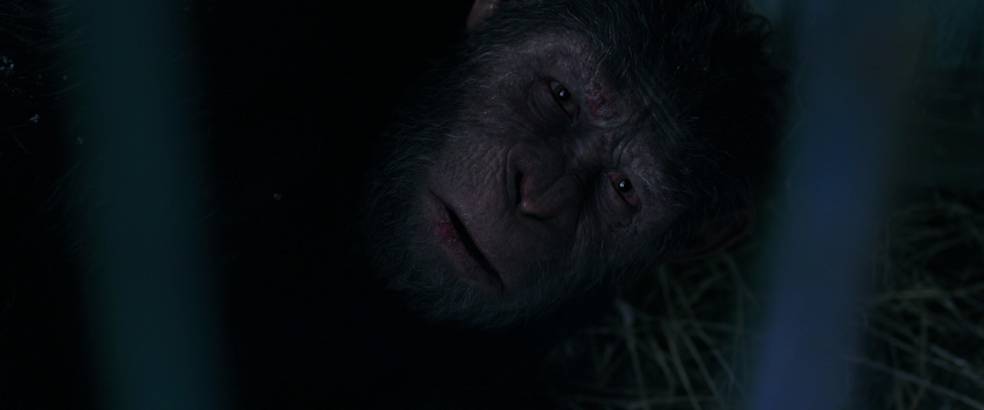 War for the Planet of the Apes (2017) HD screenshot 10811