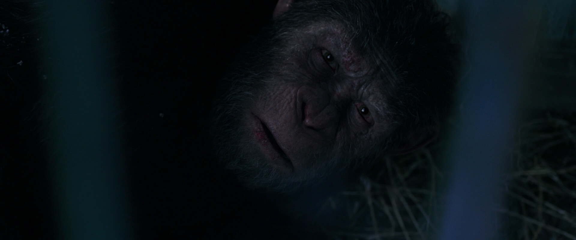 War for the Planet of the Apes (2017) screencap 10812