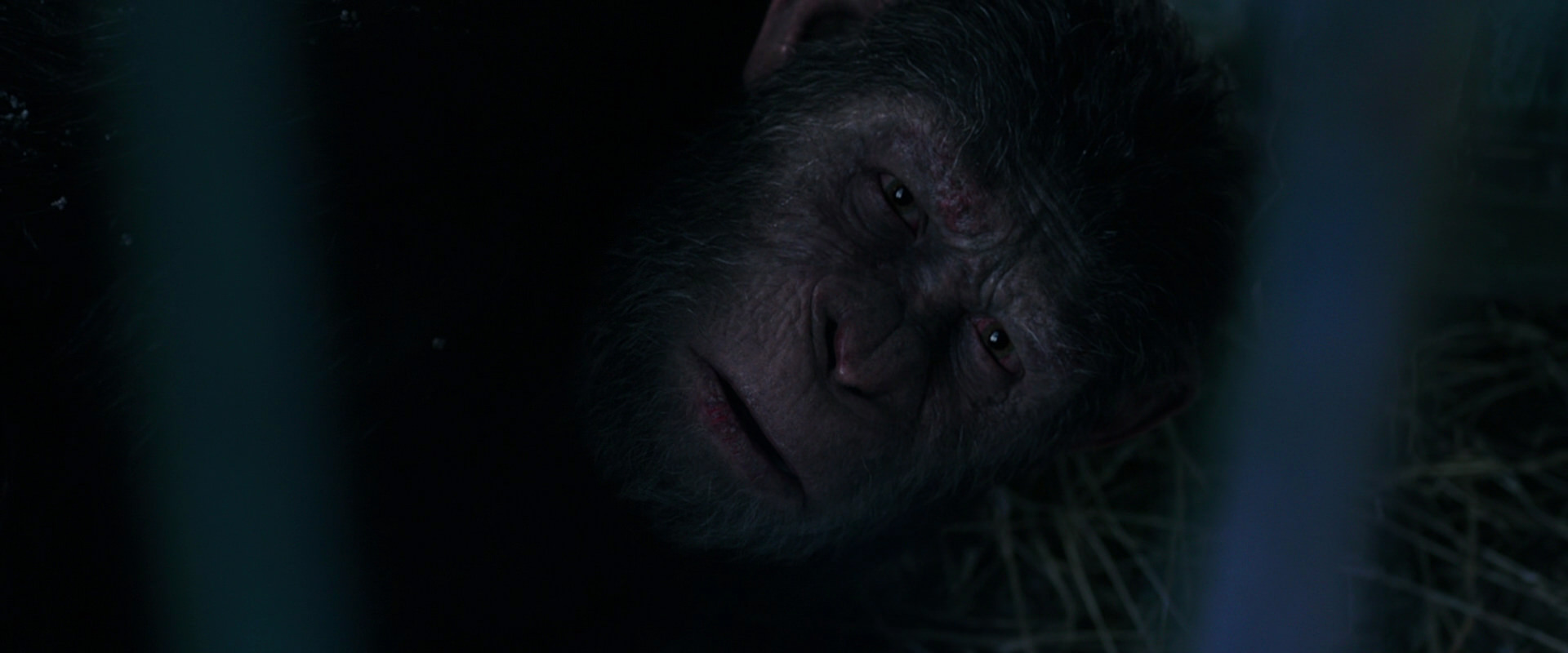 War for the Planet of the Apes (2017) movie still 10813