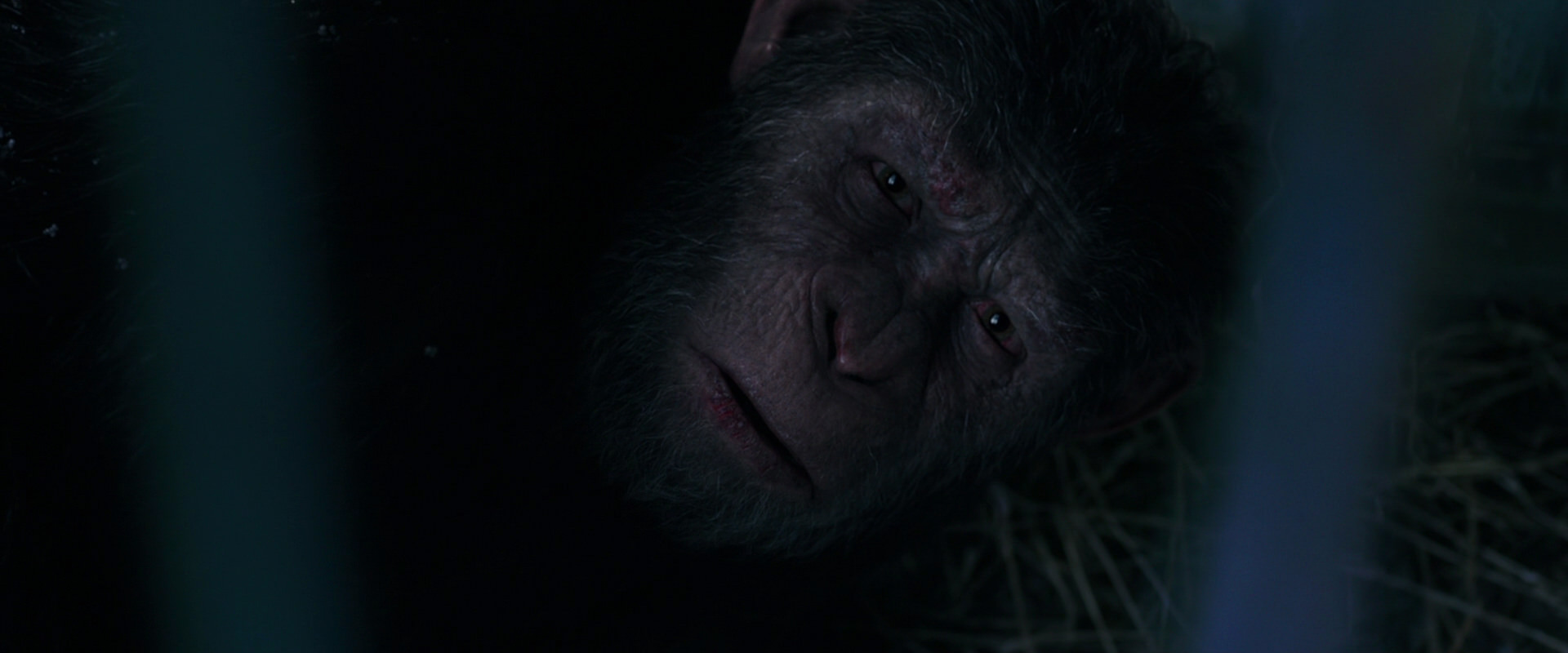 War for the Planet of the Apes (2017) HD screenshot 10814
