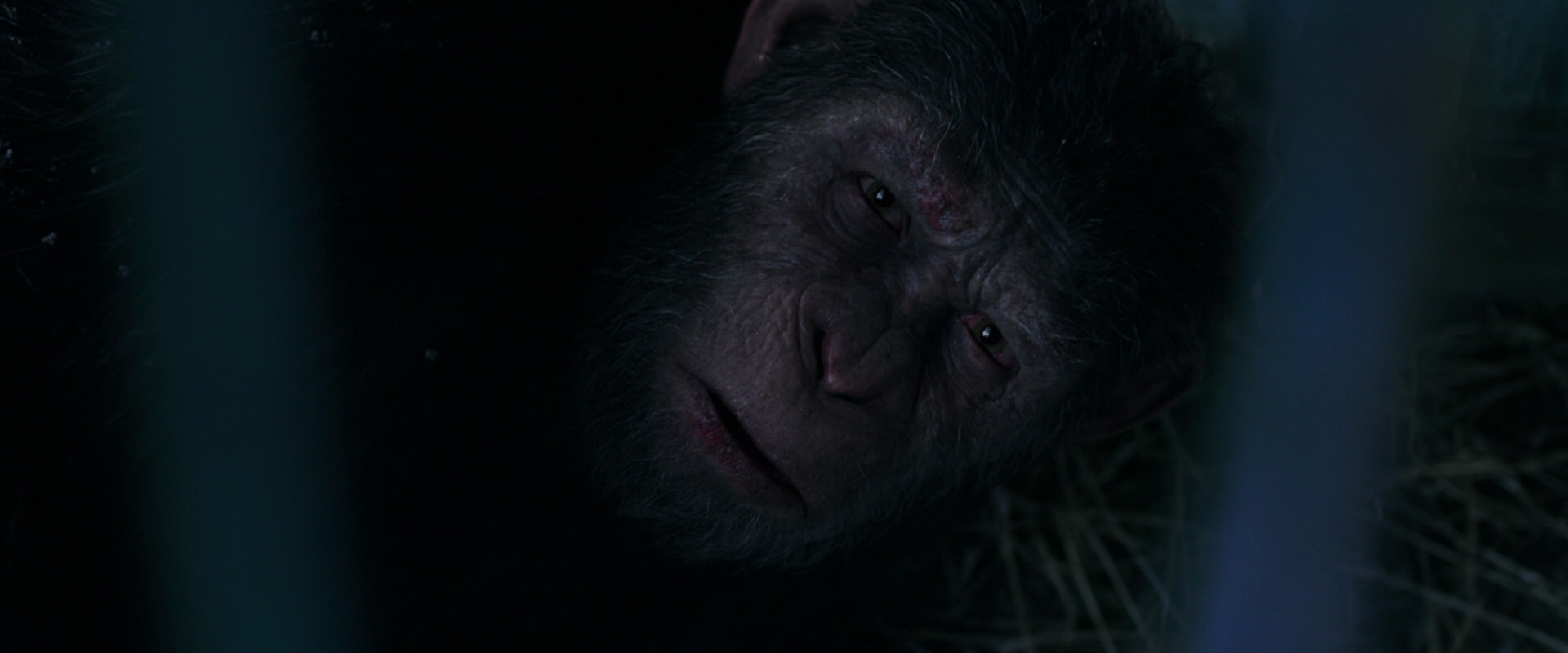 War for the Planet of the Apes (2017) screencap 10815