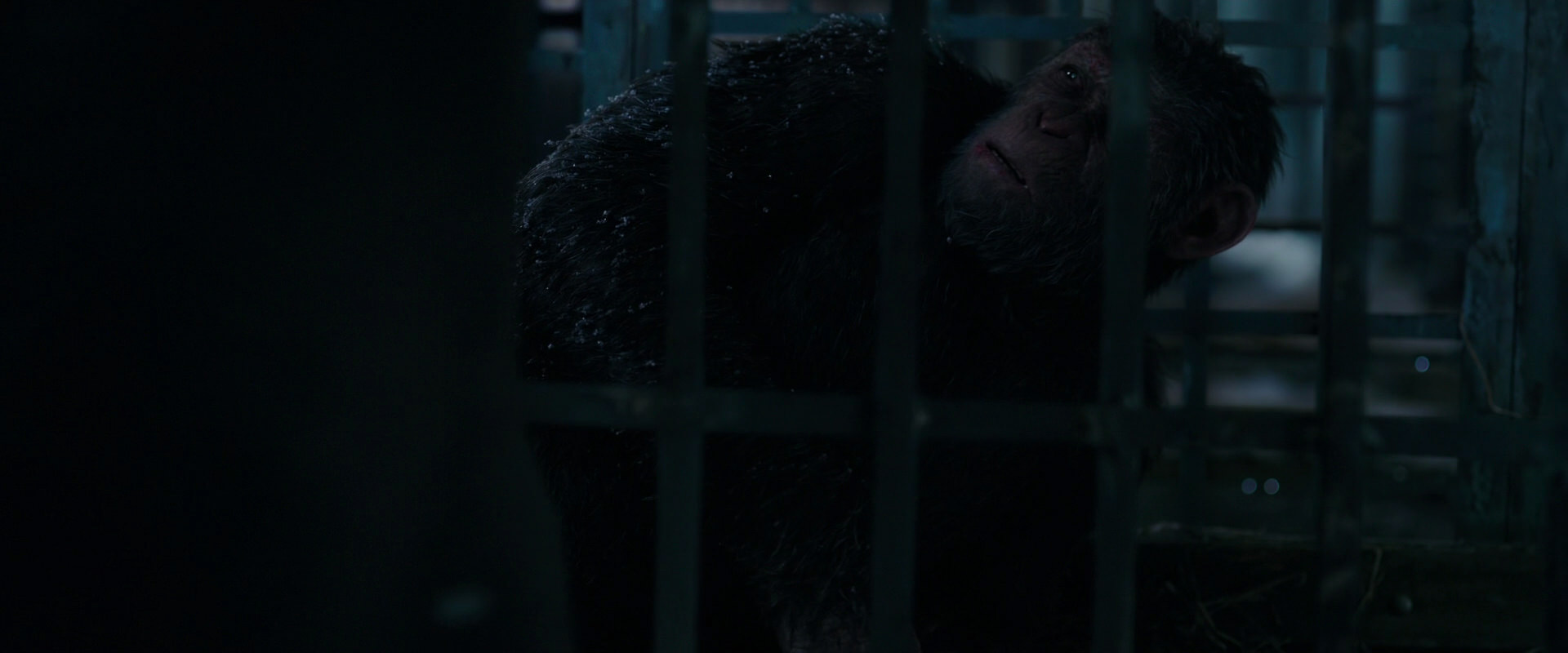 War for the Planet of the Apes (2017) HD screenshot 10820