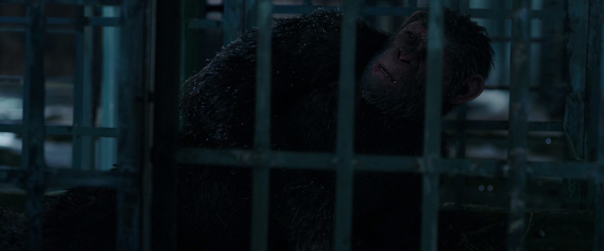 War for the Planet of the Apes (2017) screencap 10821