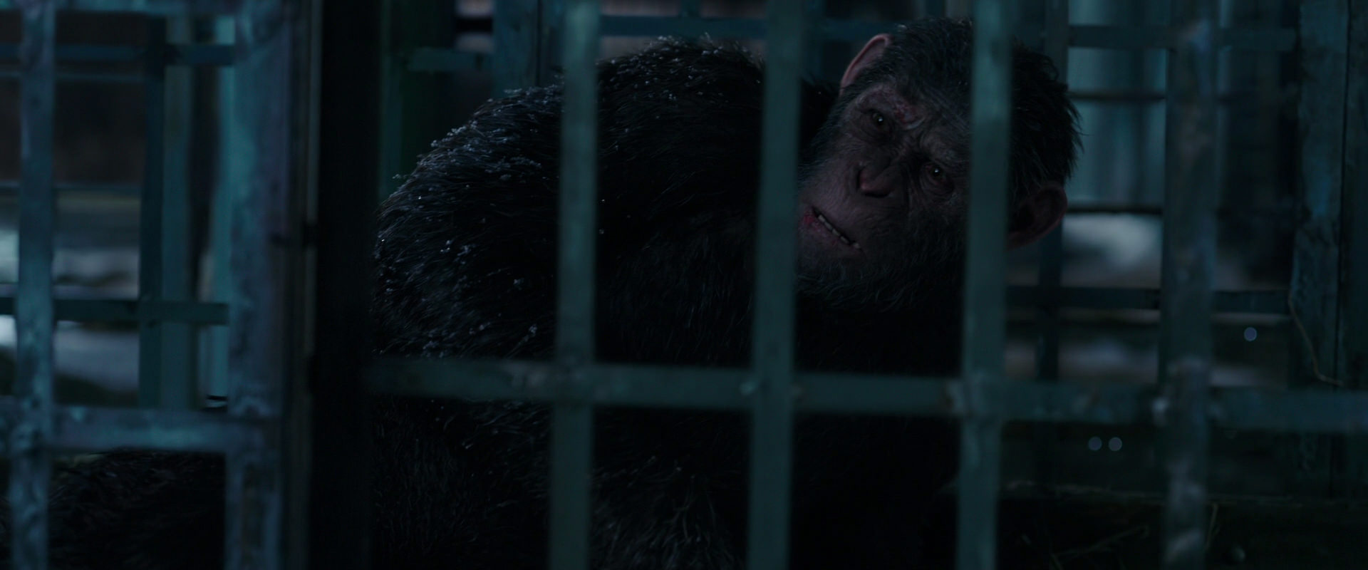 War for the Planet of the Apes (2017) HD screenshot 10823