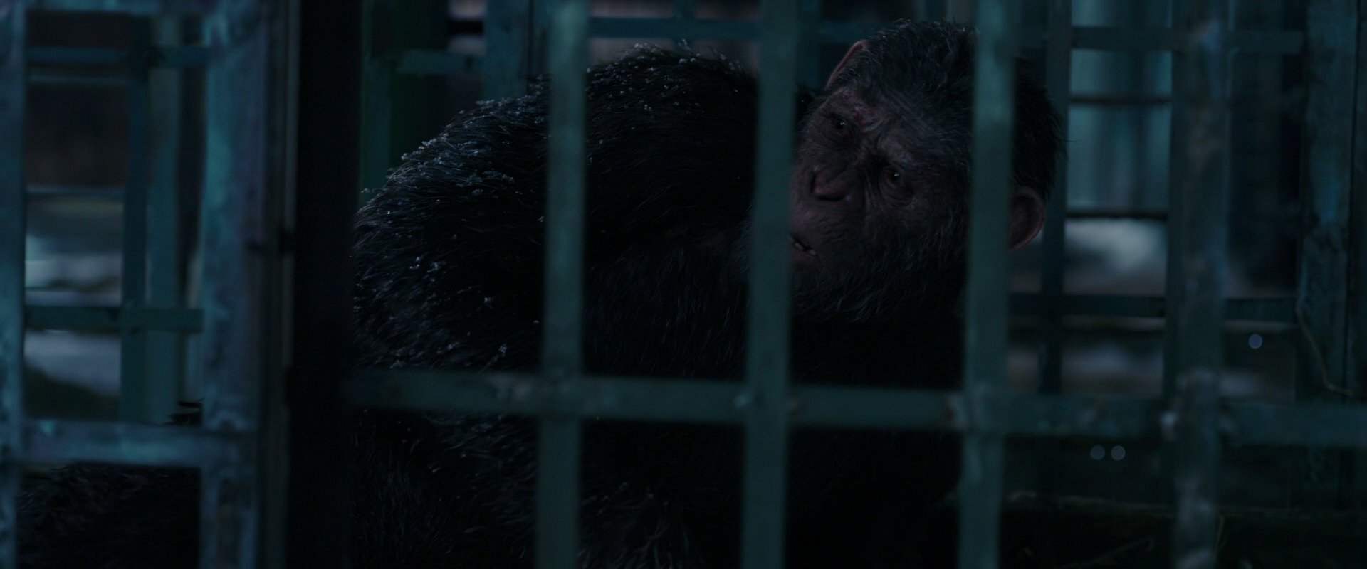 War for the Planet of the Apes (2017) screencap 10824