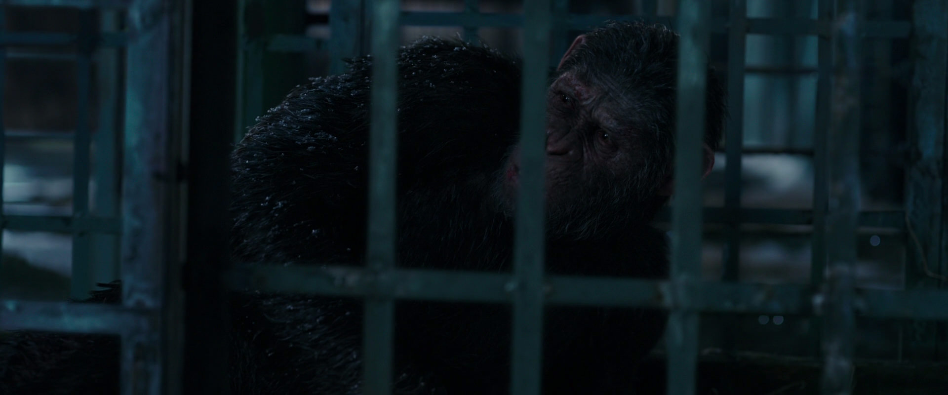 War for the Planet of the Apes (2017) movie still 10825