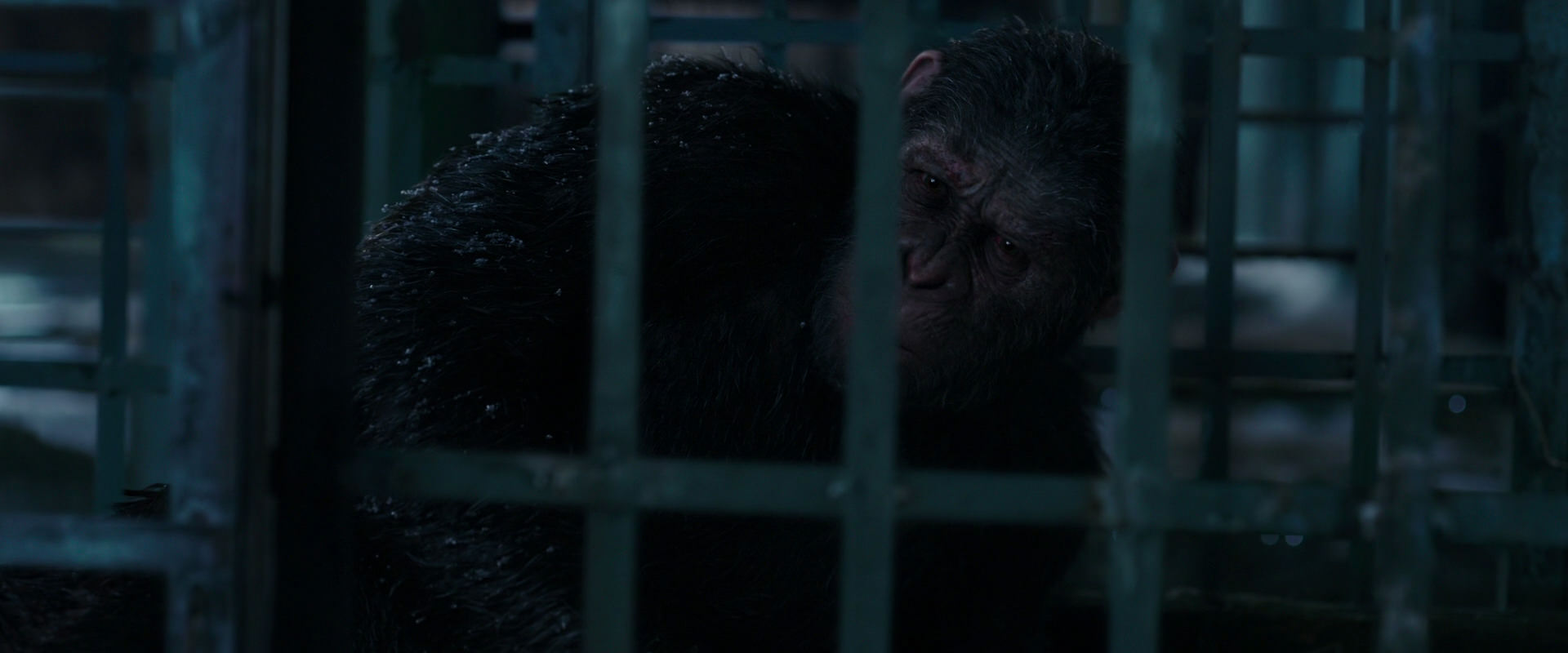 War for the Planet of the Apes (2017) HD screenshot 10826