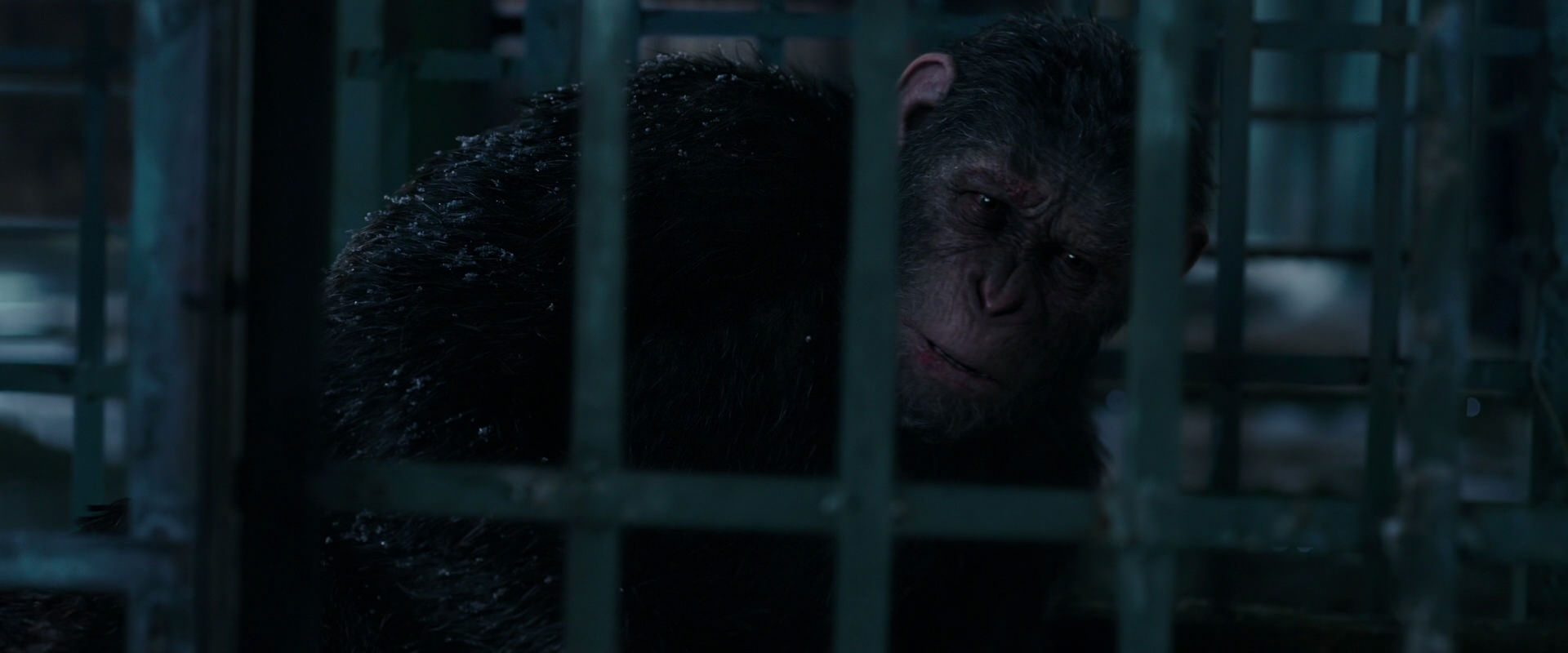 War for the Planet of the Apes (2017) screencap 10827