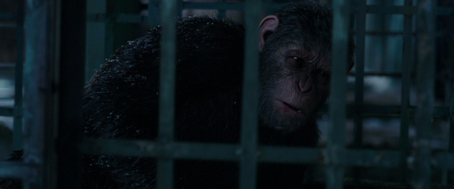 War for the Planet of the Apes (2017) movie still 10828
