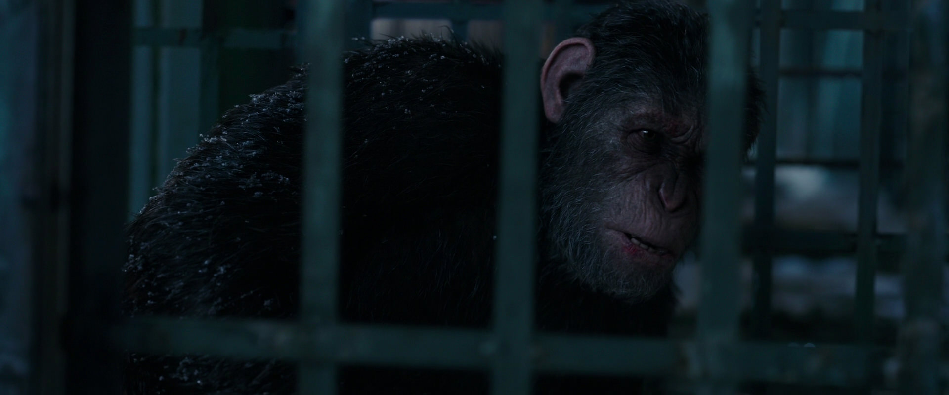 War for the Planet of the Apes (2017) screencap 10830