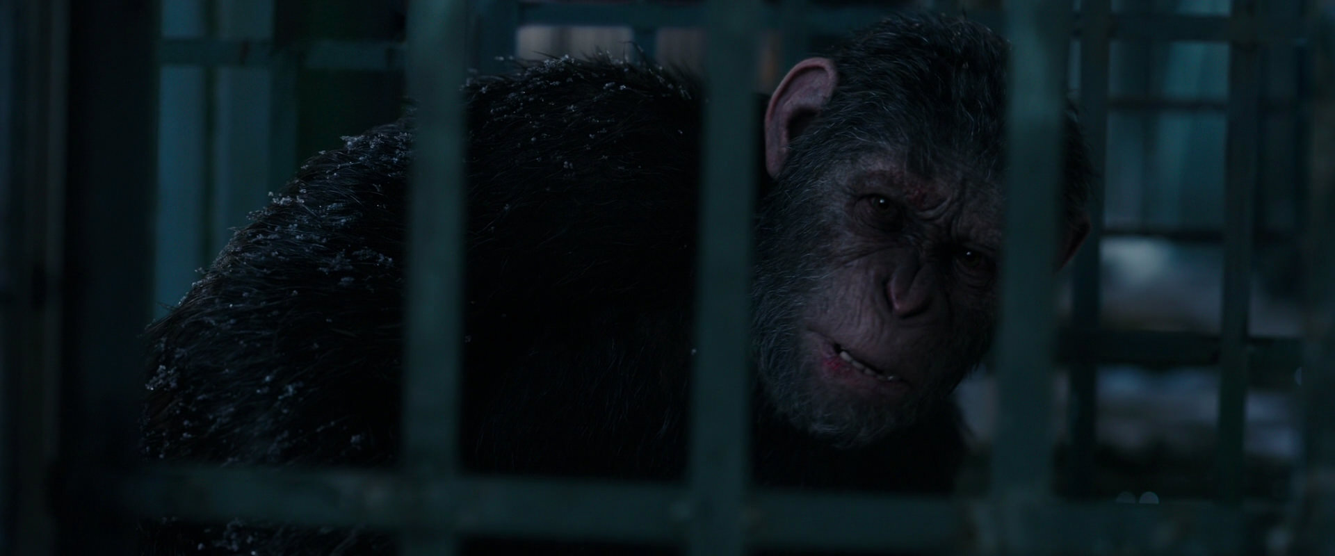 War for the Planet of the Apes (2017) movie still 10831