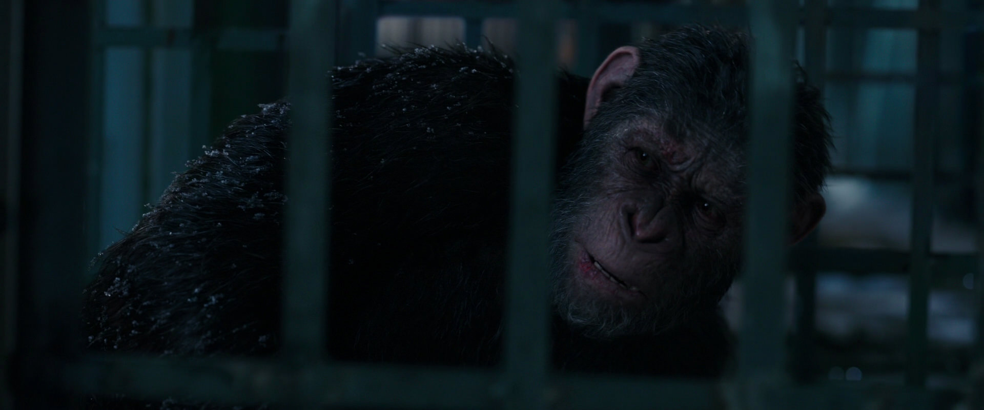 War for the Planet of the Apes (2017) HD screenshot 10832
