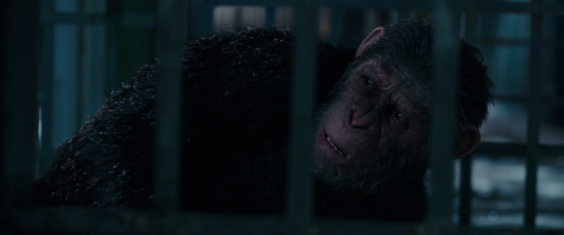 War for the Planet of the Apes (2017) screencap 10833