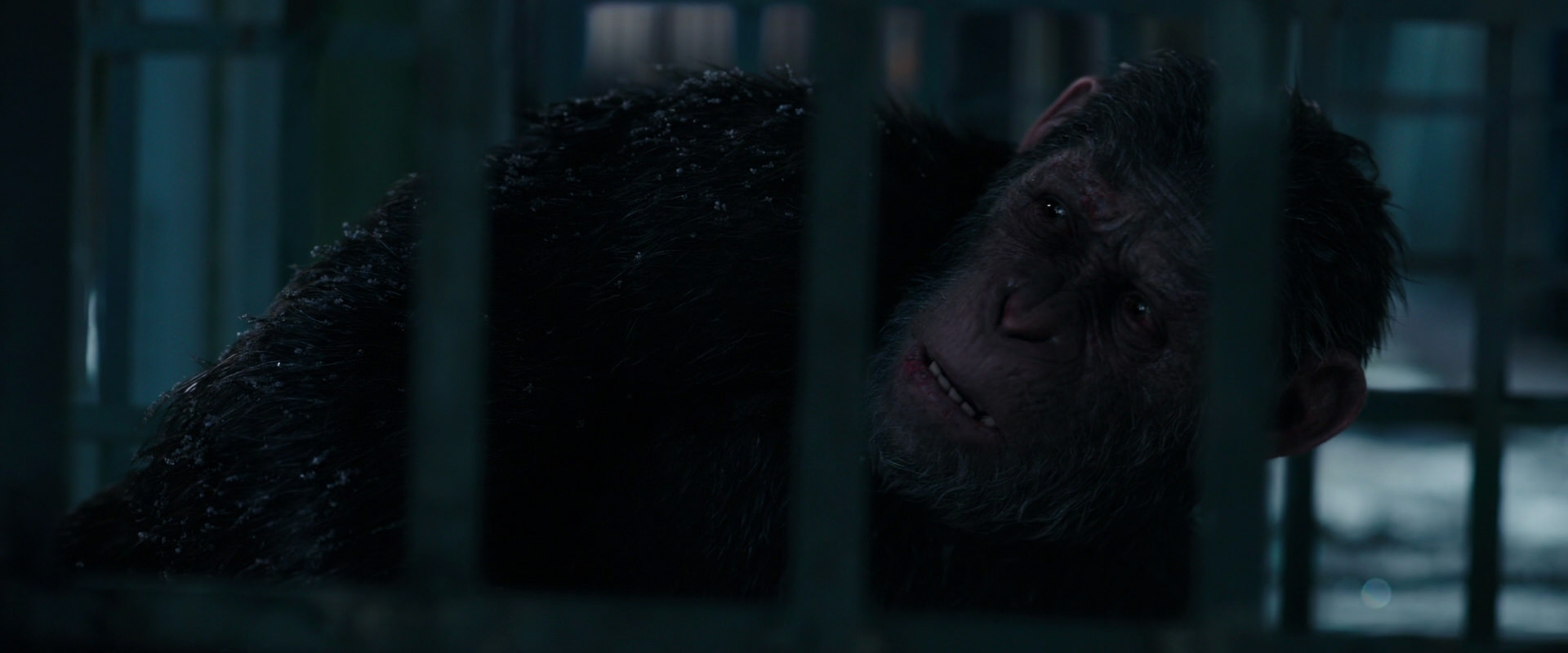 War for the Planet of the Apes (2017) movie still 10834