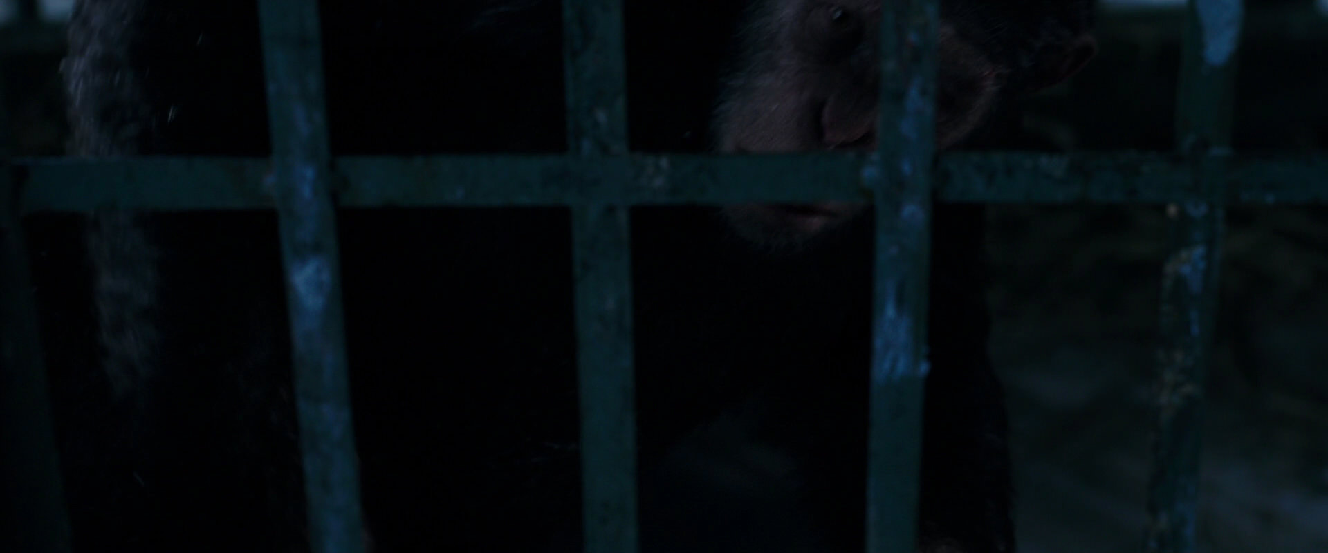 War for the Planet of the Apes (2017) HD screenshot 10838