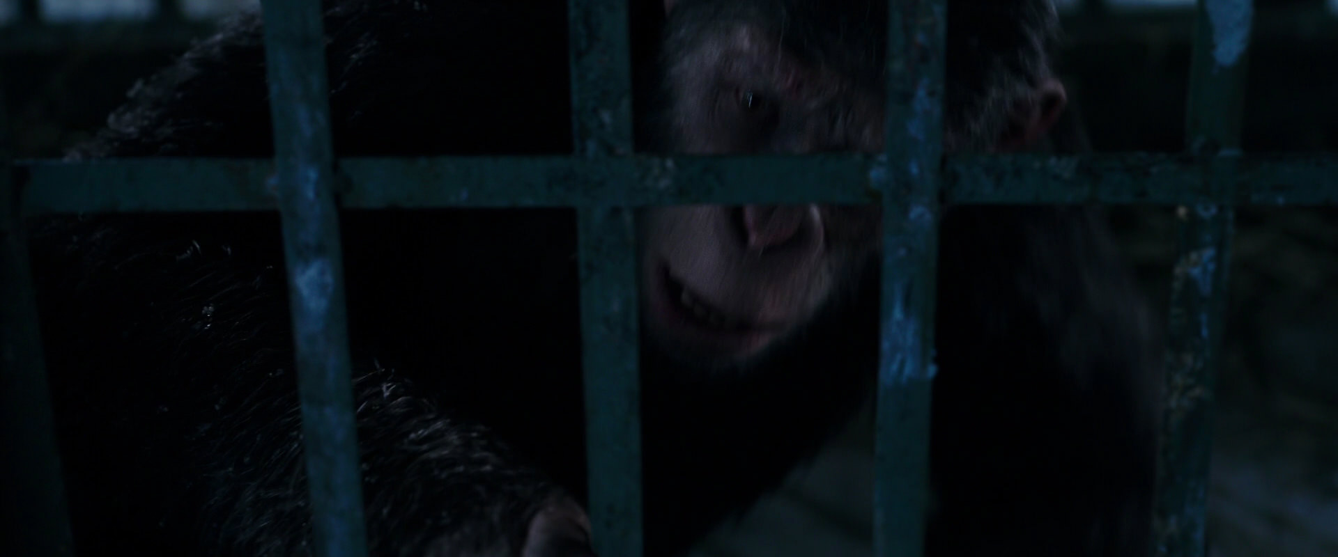 War for the Planet of the Apes (2017) screencap 10839