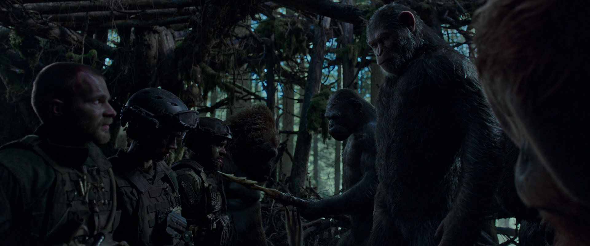 War for the Planet of the Apes (2017) movie still 1084