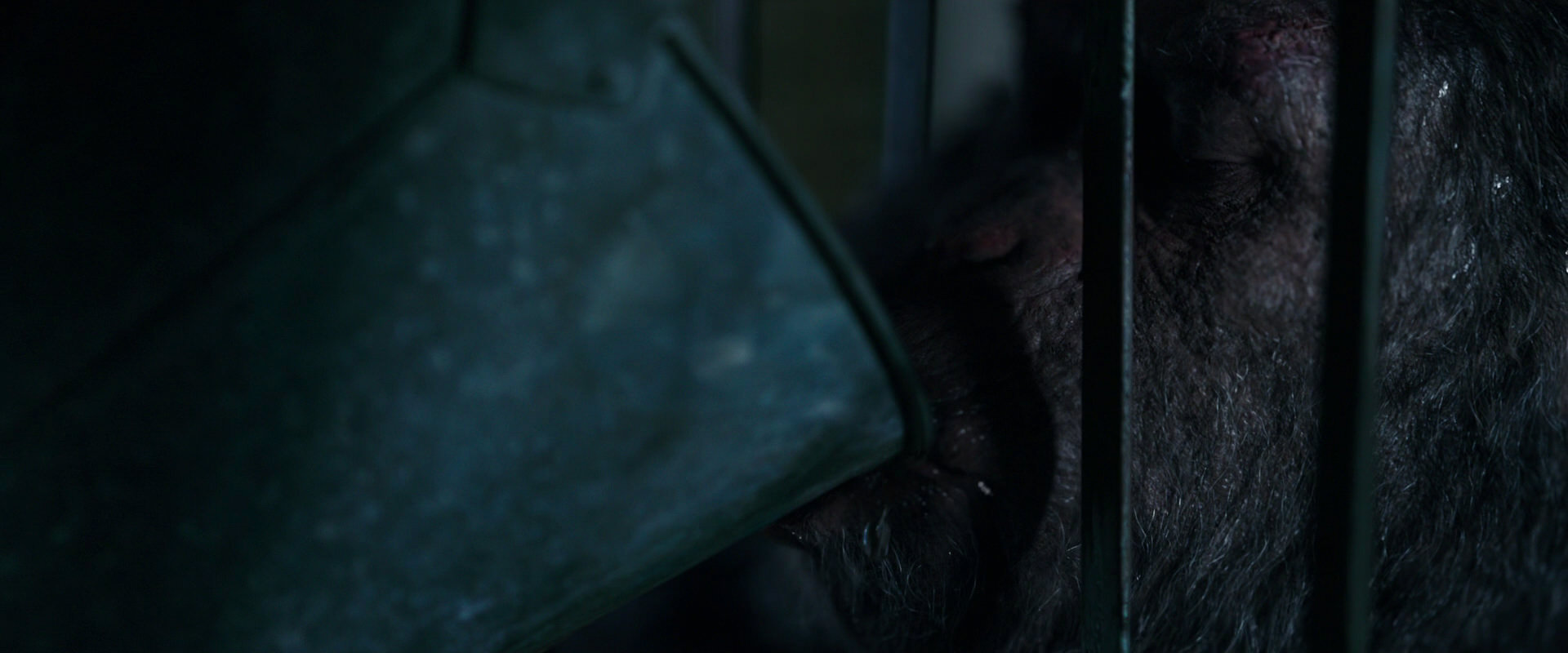 War for the Planet of the Apes (2017) movie still 10846