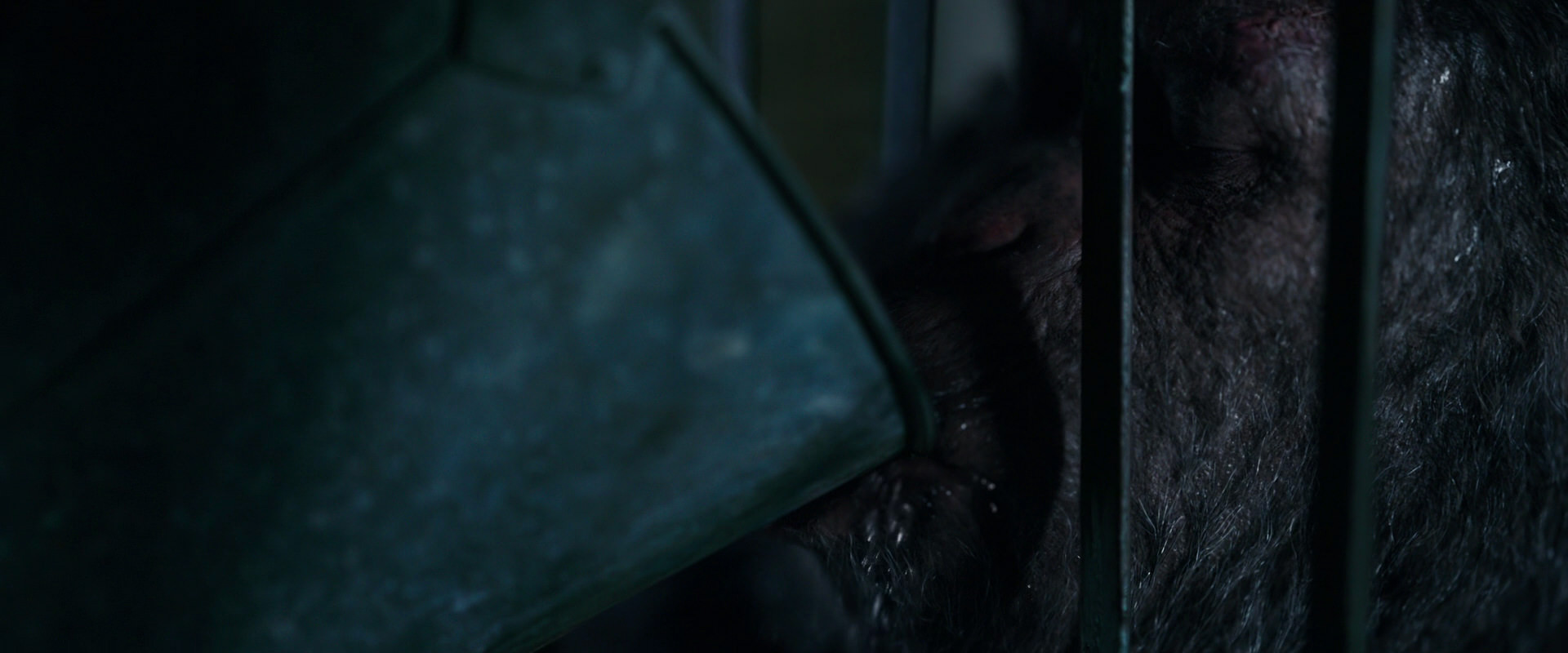 War for the Planet of the Apes (2017) HD screenshot 10847