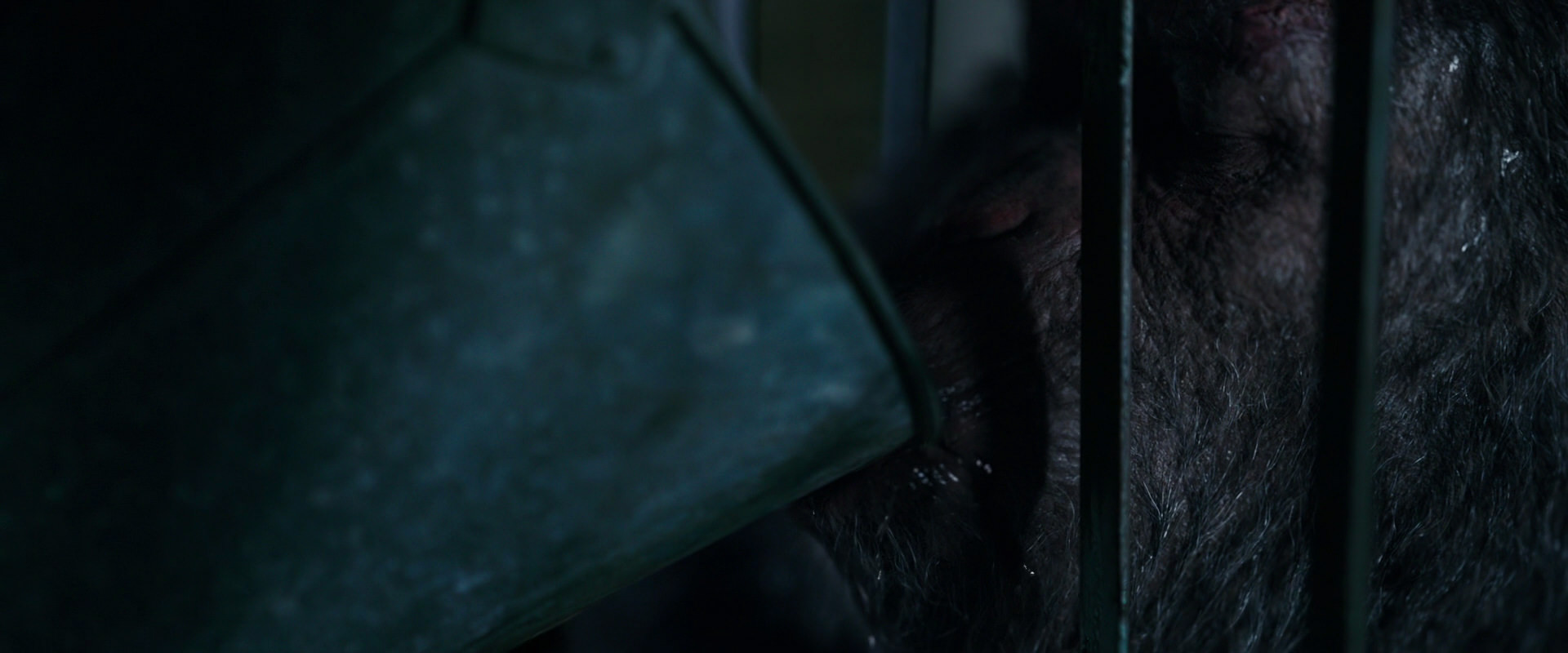 War for the Planet of the Apes (2017) screencap 10848